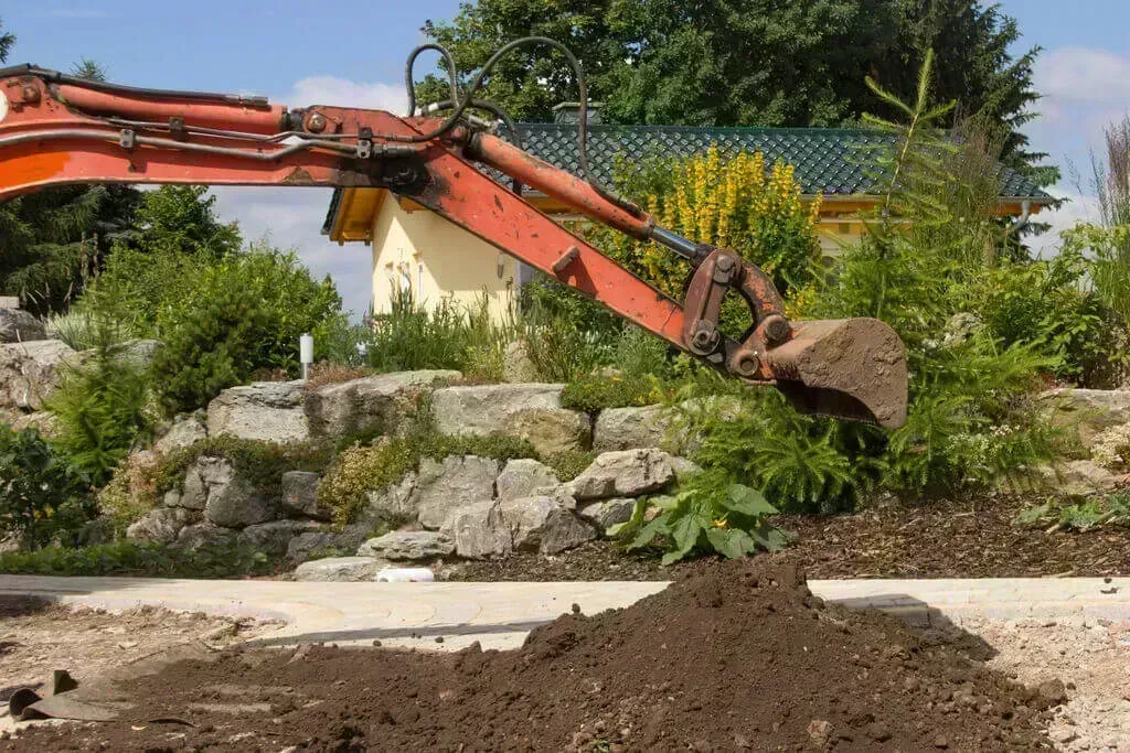 Gepflegter Garten mit Pflanzen und Rasen