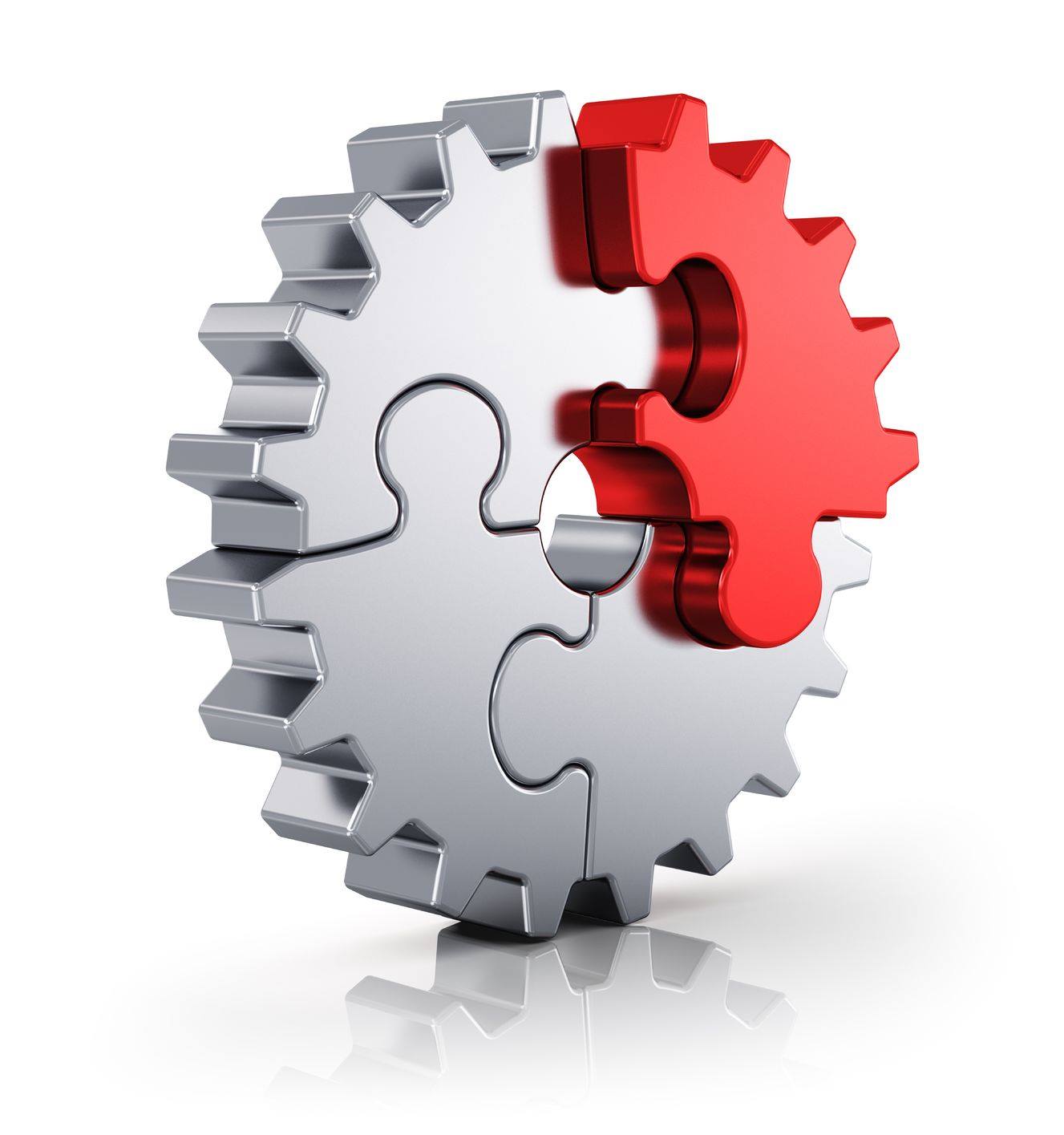 Schiller Garten und Landschaftsbau